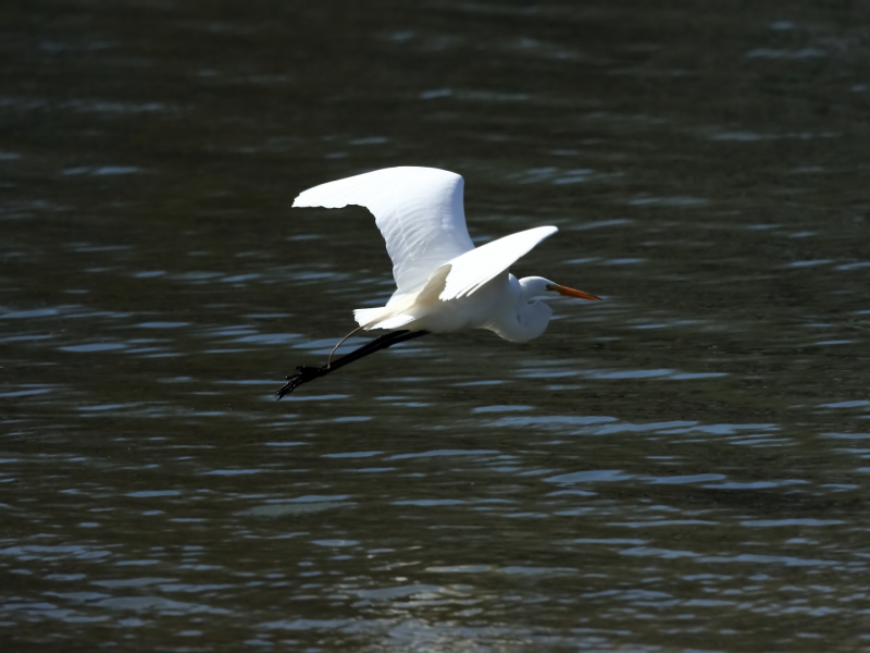 2013 04 03 IMG 02352e